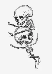 Scheletri, illustrazione da 